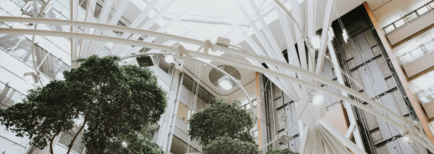 The Baycrest Connection