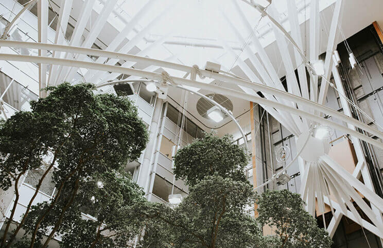 The Baycrest Connection image
